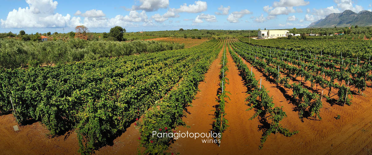 PANAGIOTOPOULOS WINES